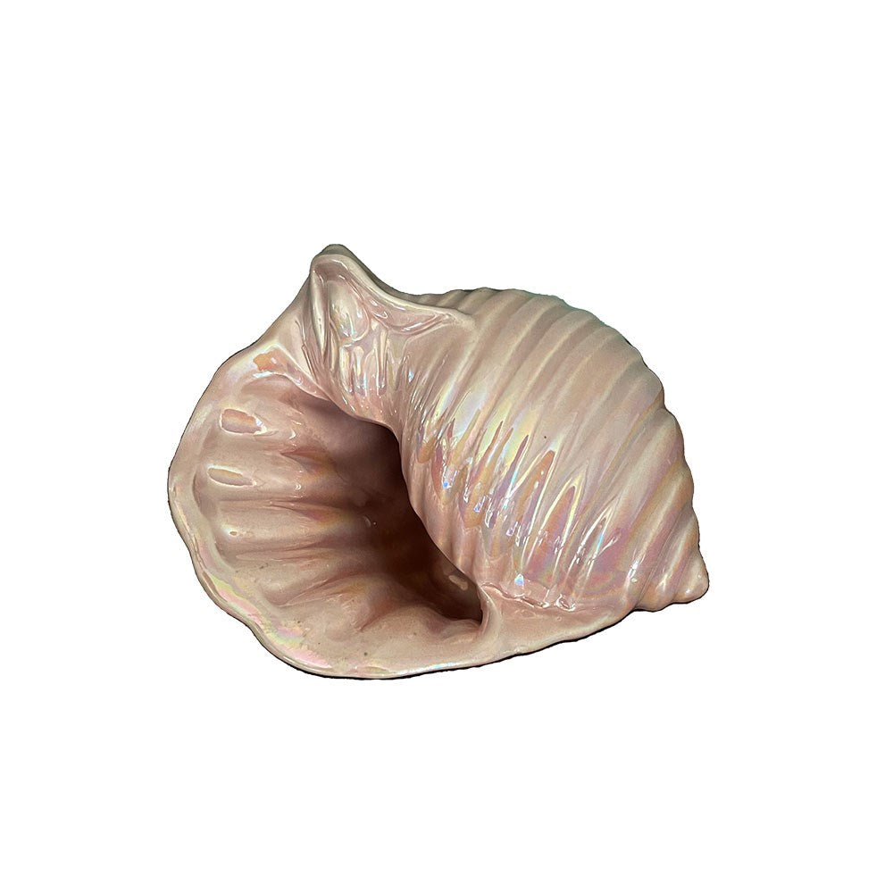 Vintage Mini Conch Shell, Pink Lustre
