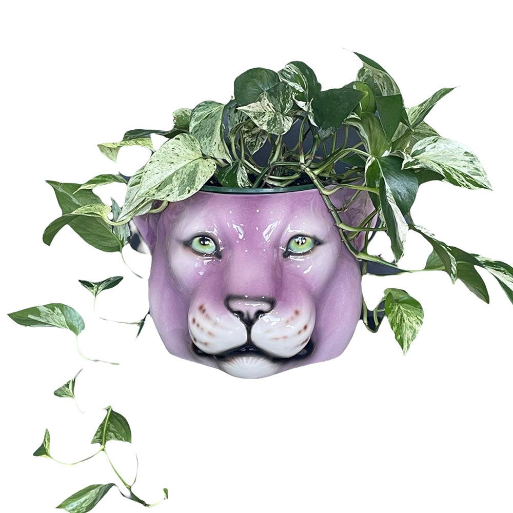 Lilac Panther Planter - Medium - The Family Love Tree