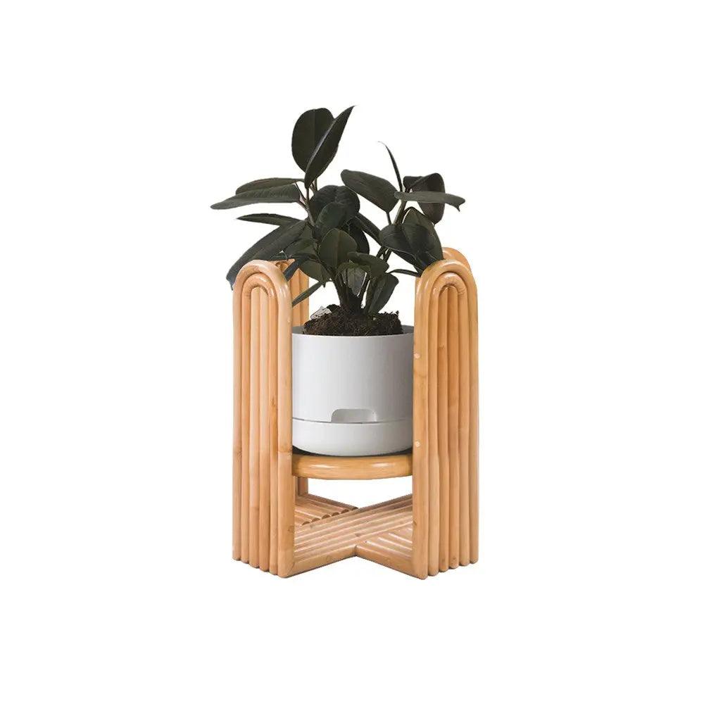 Lorenzo Planter Low, Natural The Family Love Tree