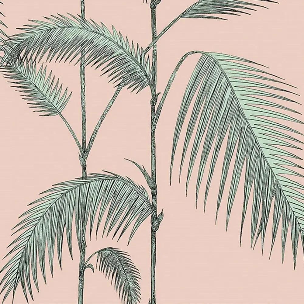 Palm Leaves Wallpaper - Pink Cole & Son